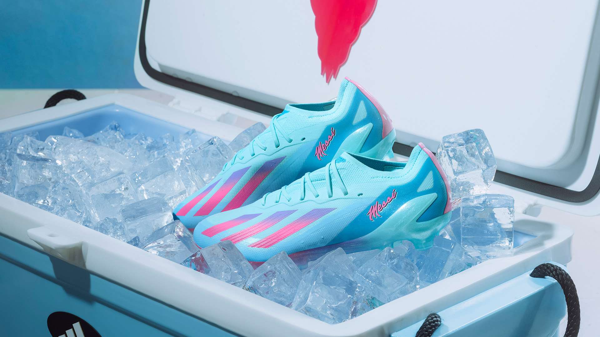 亮点瞬间 亮点瞬间